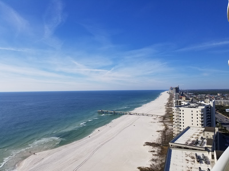 Donna Fitts REALTOR - RE/MAX of Orange Beach - Real estate agent in Orange Beach