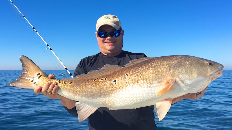 Live Oac - Boat tour agency in Hilton Head Island