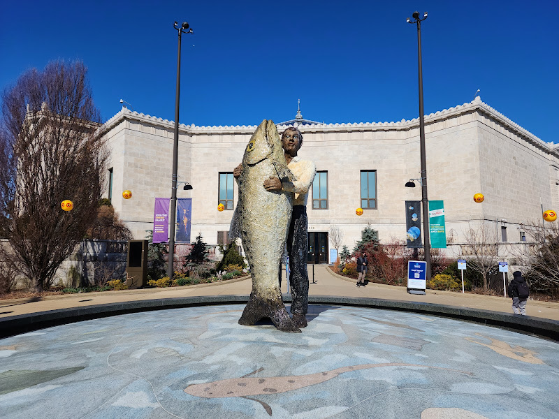 Shedd Aquarium - Tourist attraction in Chicago