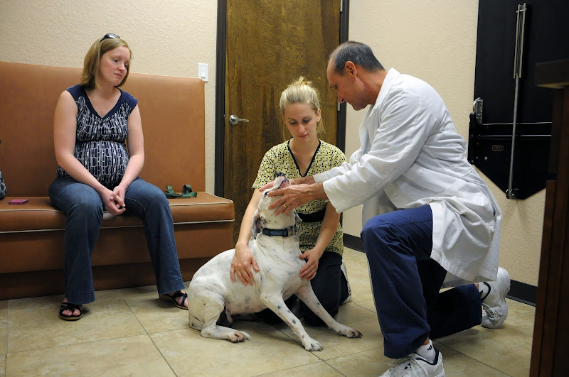 Metzler Veterinary Hospital