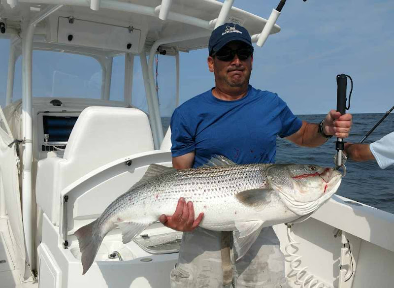 On The Bite Fishing Charters