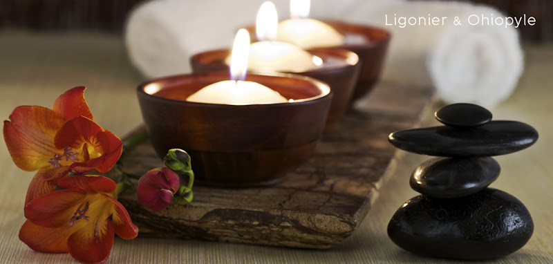 A Simple Touch Spa