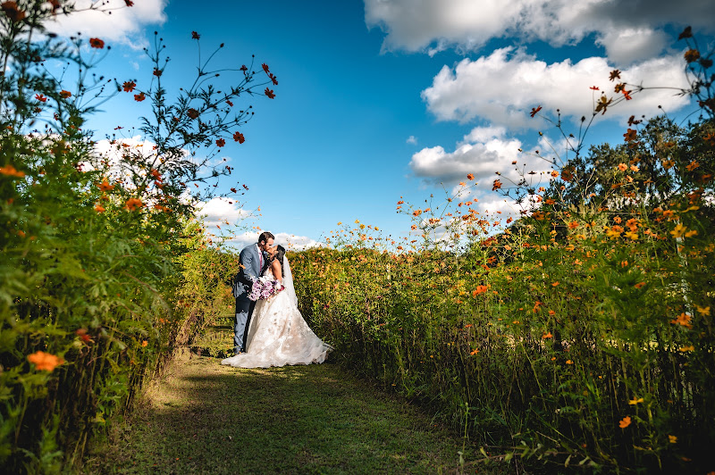 A Stewart Photo & Video