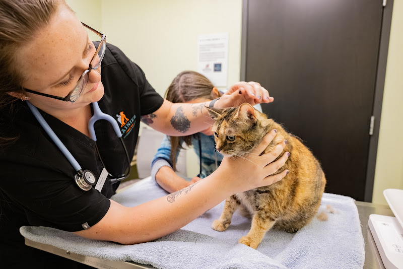 Rainier Veterinary Hospital