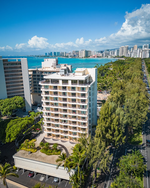 Lotus Honolulu
