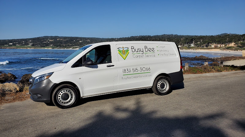 Busy Bee Carpet Service - Carpet cleaning service in Carmel-By-The-Sea