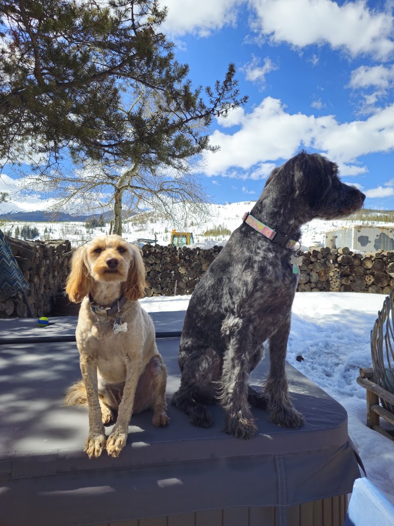 Bunk House Lodge - Hotel in Breckenridge