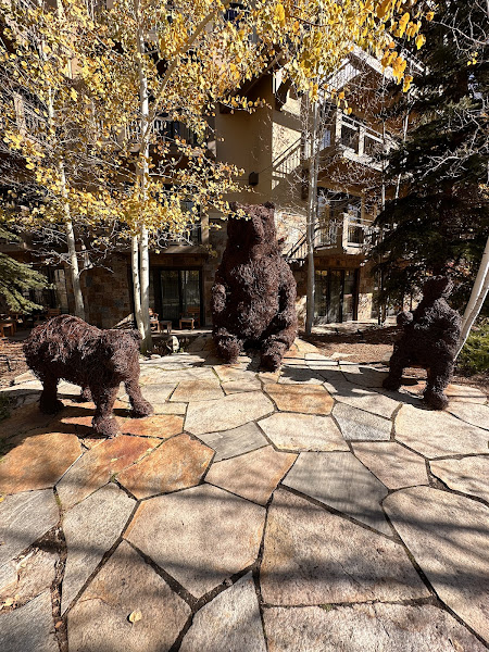 The Vail Bears - Tourist attraction in Vail