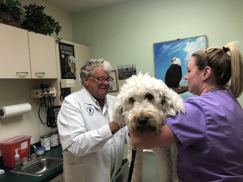 Underhill Animal Hospital