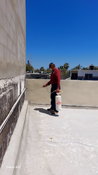 X' termin baja sur - Pest control service in Los Cangrejos
