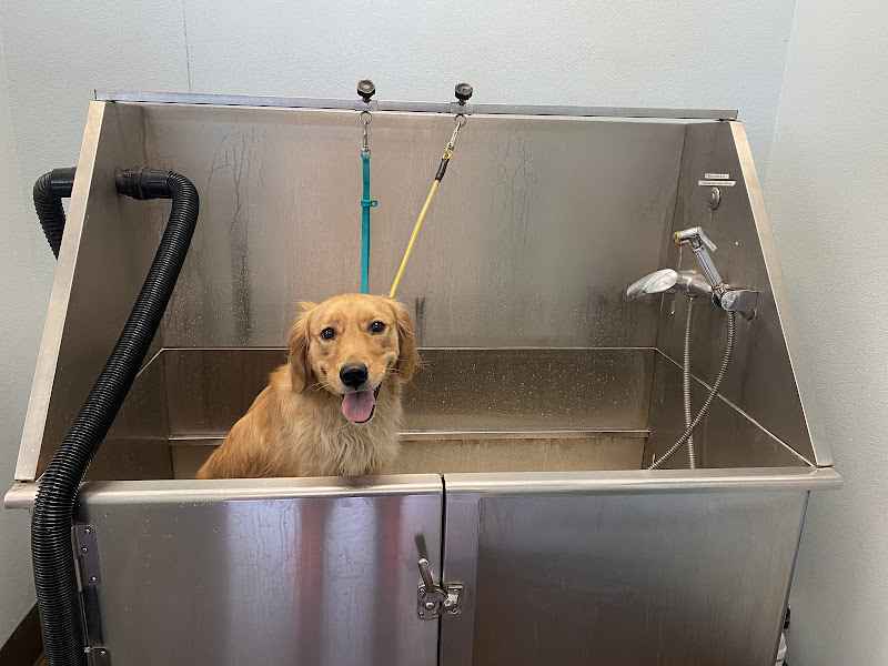 Marcie n Mack Pet Salon & Self Wash