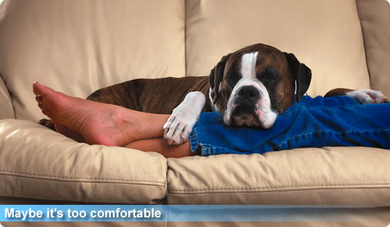 Desert Comfort Mechanical - HVAC contractor in Scottsdale