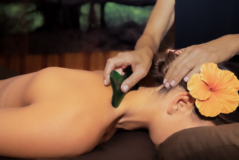 Hawaii Natural Therapy - Massage spa in Honolulu