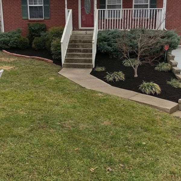 615 Lawn and landscapes