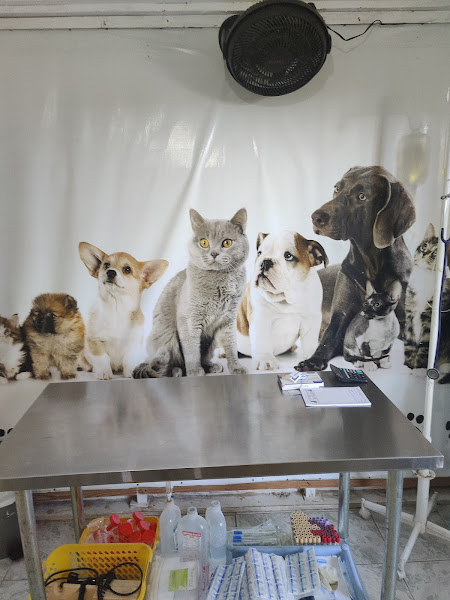 Clinica Veterinaria Marcela - Animal hospital in C. Las Caobas