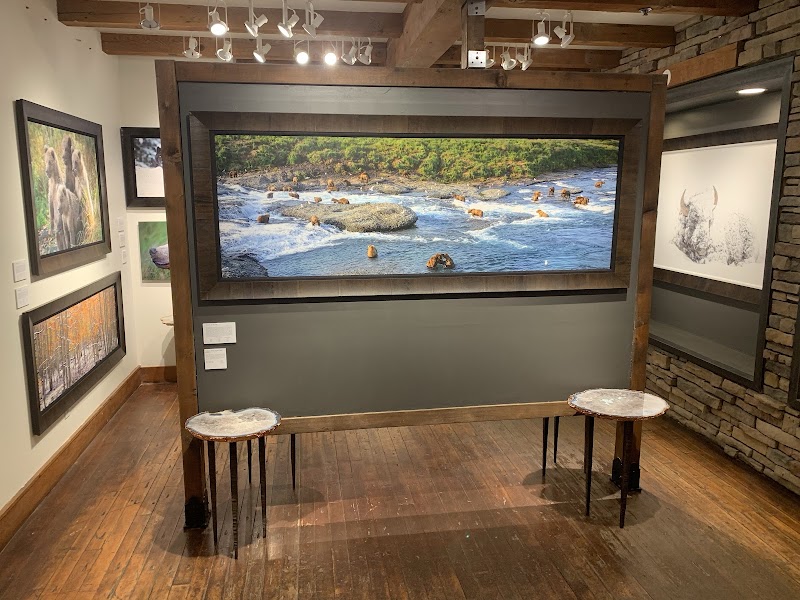 Tony Newlin Gallery at Telluride - Art gallery in Telluride