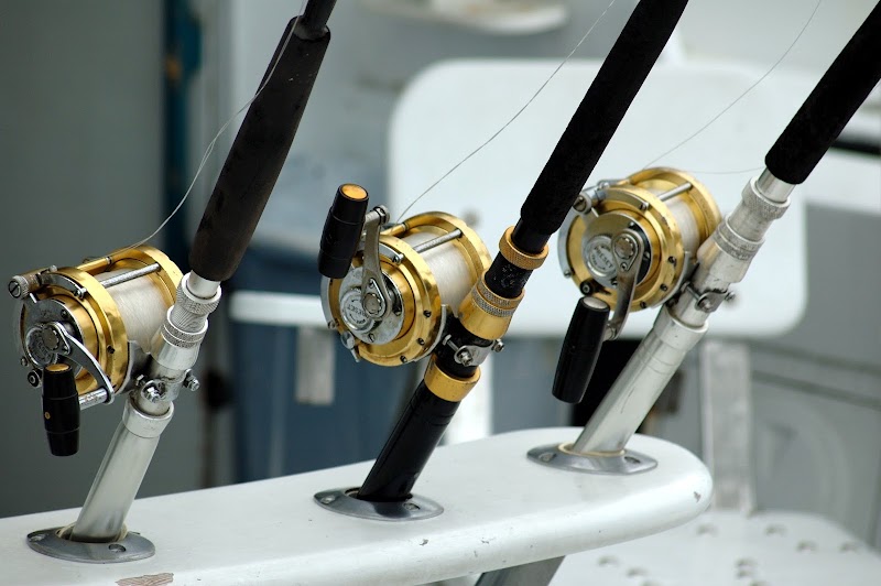 Explorer Fishing Charters - Fishing charter in Sarasota