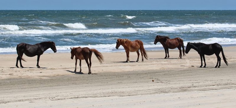 The Northern Outer Banks - Corolla Visitor Center