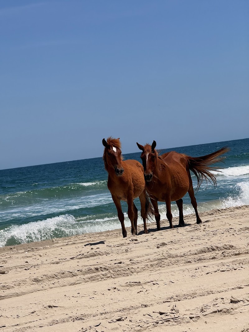 The Northern Outer Banks - Corolla Visitor Center photo