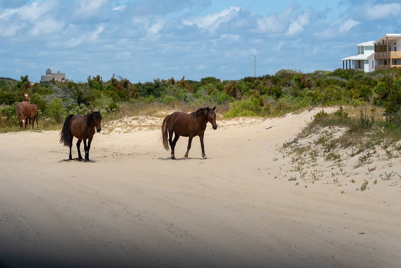 The Northern Outer Banks - Corolla Visitor Center photo