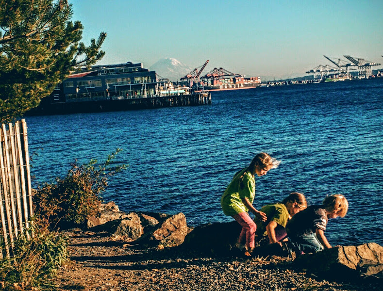 Olympic Sculpture Park