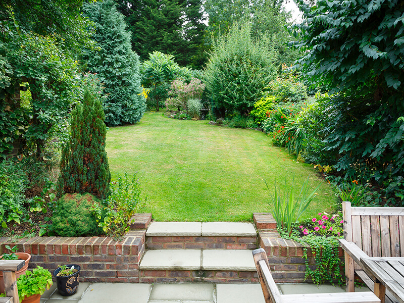 Marquez Maintenance LLC - Landscaper in Aspen