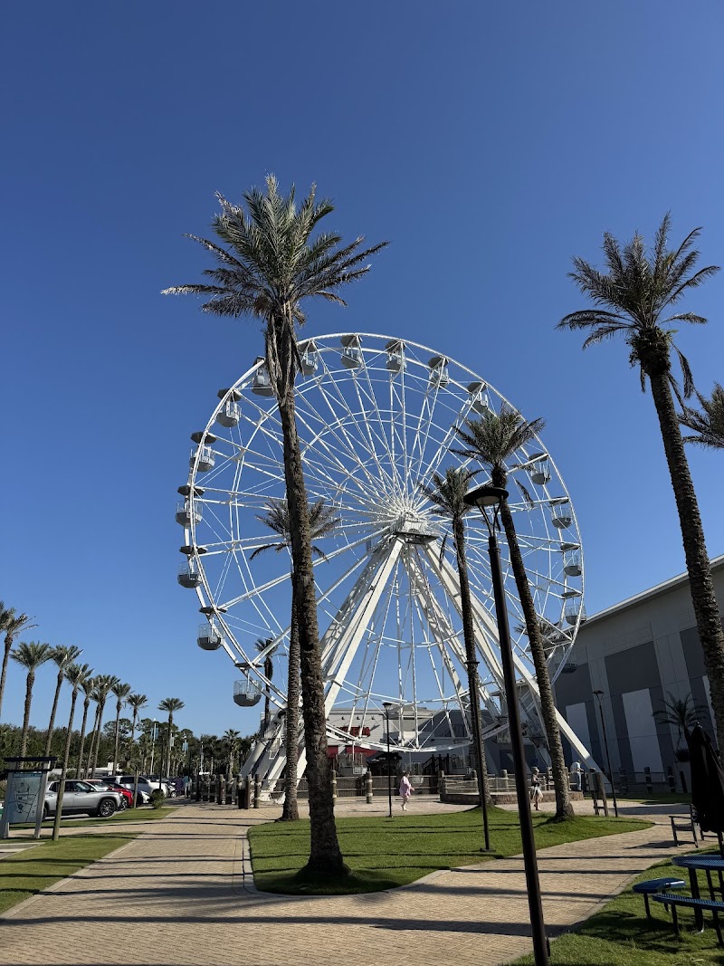 Ferris Wheel photo