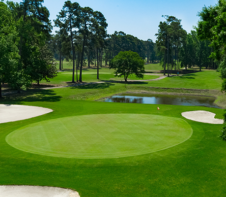 Beachwood Golf Club - Golf course in North Myrtle Beach
