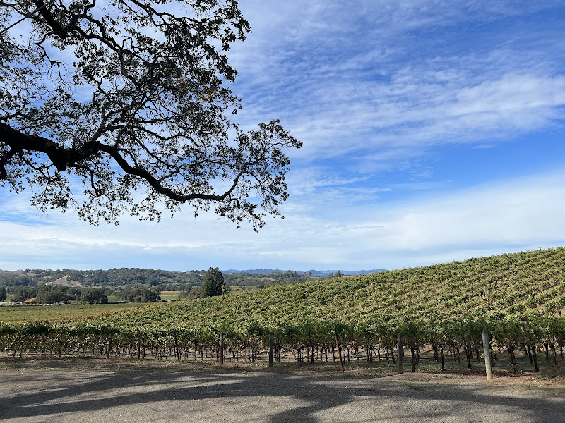Alexander Valley Vineyards
