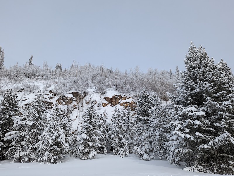 Whistler Park - Tourist attraction in Steamboat Springs