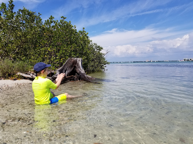 Quick Point Nature Preserve - Tourist attraction in Longboat Key