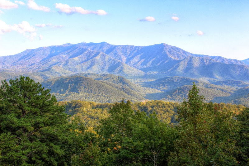 The Realty-Smokies Team - Real estate agent in Gatlinburg