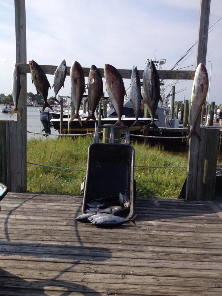 Orange Beach Fishing Charters and Saltwater Guides photo