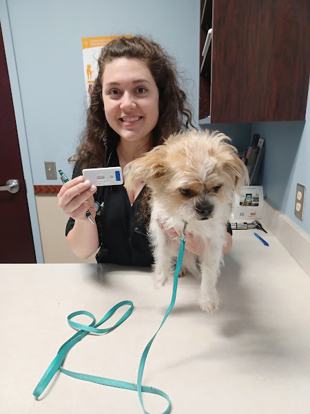 County Line Veterinary Clinic - Veterinarian in New Braunfels