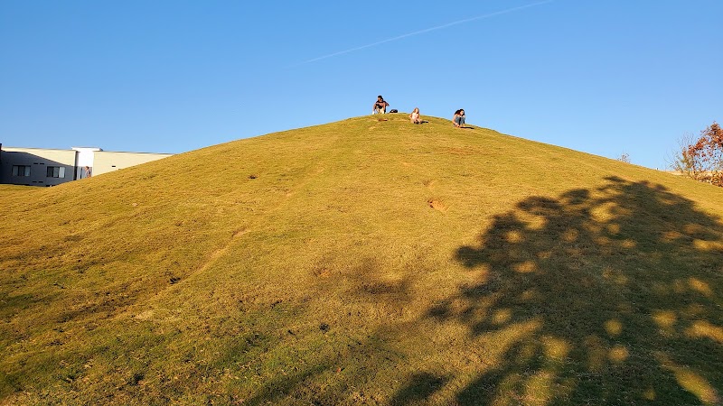 Cardboard Hill - Tourist attraction in TN 37405