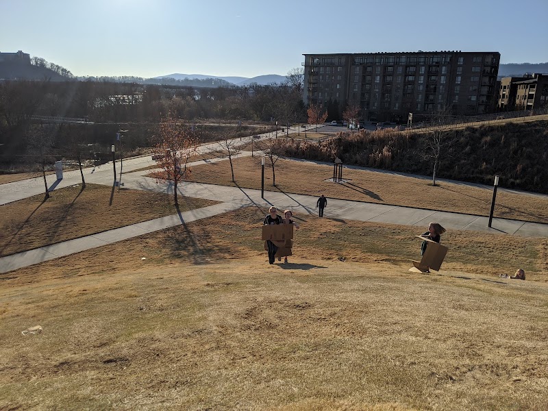 Cardboard Hill photo