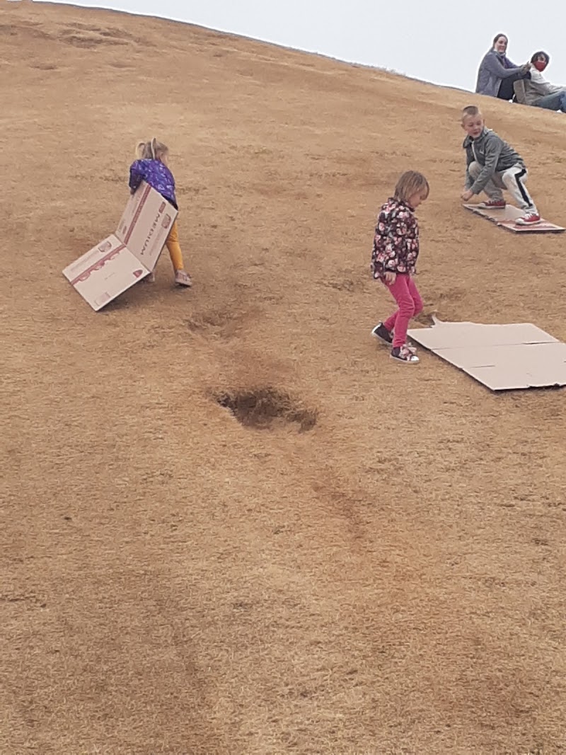 Cardboard Hill photo