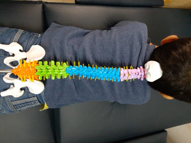 Vive Sin Límites - Chiropractor in Mesa Colorada