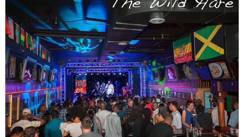 The Wild Hare & Singing Armadillo Frog Sanctuary - Live music venue in Chicago