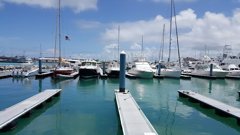 Galleon Marina