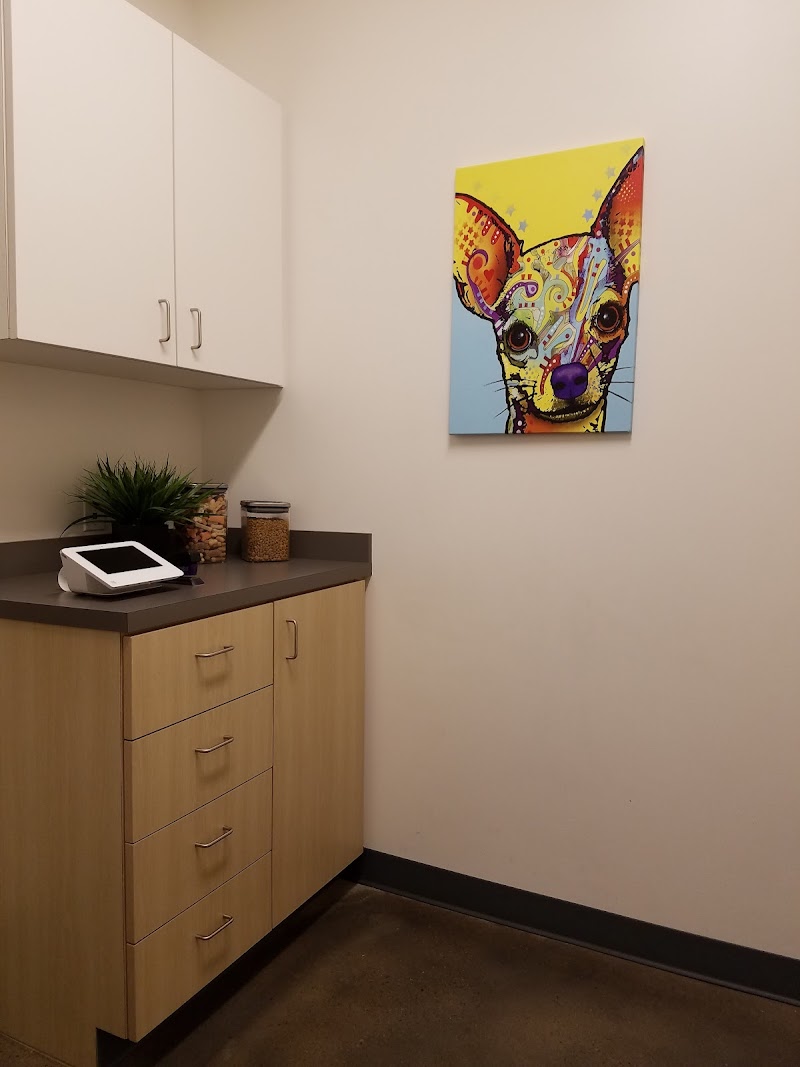 Thrive Pet Healthcare - South Lamar photo