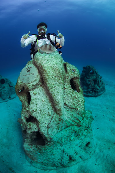 1000 Mermaids Artificial Reef Project (Palm Beach County Site) - Tourist attraction in Palm Beach