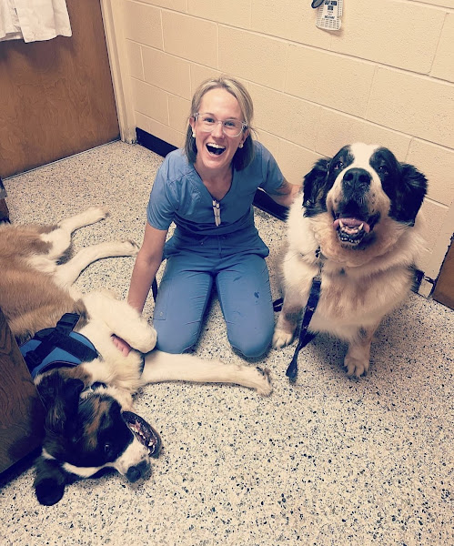 Air Harbor Veterinary Clinic - Veterinarian in Charleston