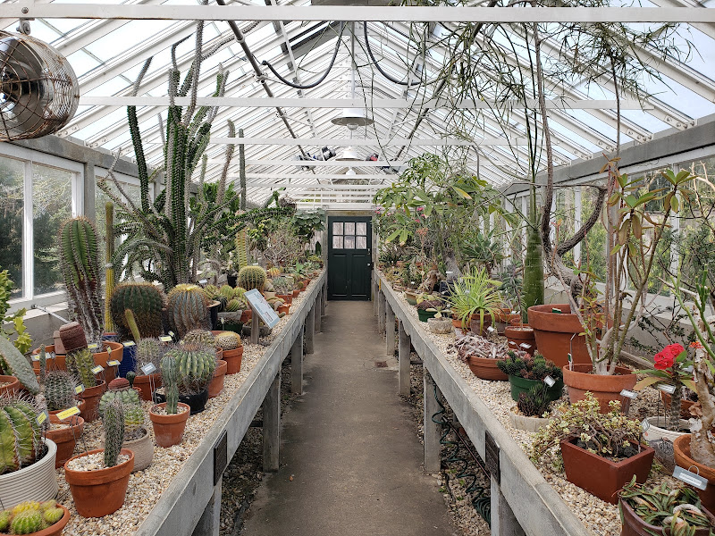 New Orleans Botanical Garden