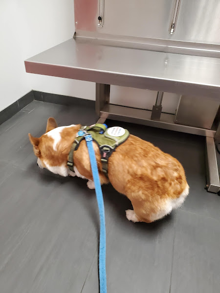 Burnham Park Animal Hospital - Veterinarian in Chicago