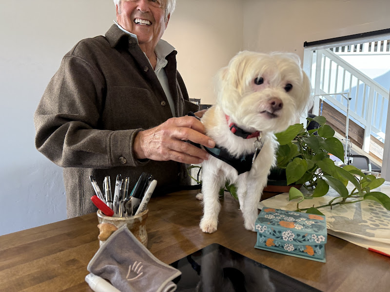 Carmel Groomers - Pet groomer in Carmel-By-The-Sea