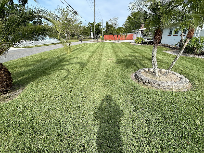 Lucas Lawn & Co., LLC