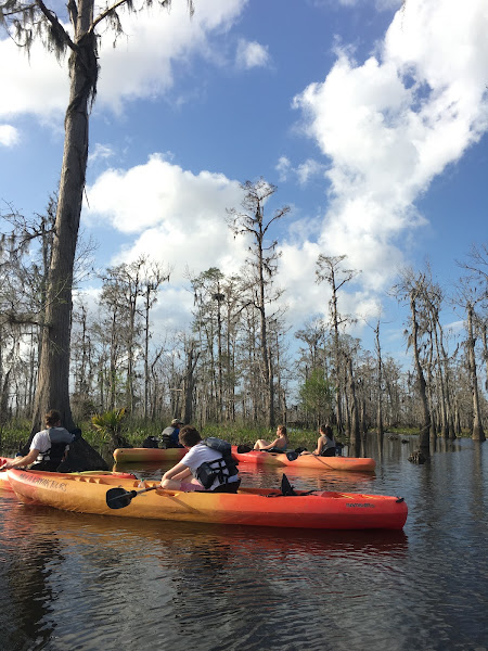 Crescent City Kayak - Swamp Tours