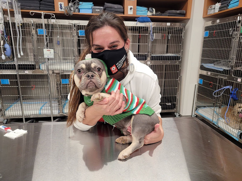 Veterinary Emergency Group - Emergency veterinarian service in Chicago