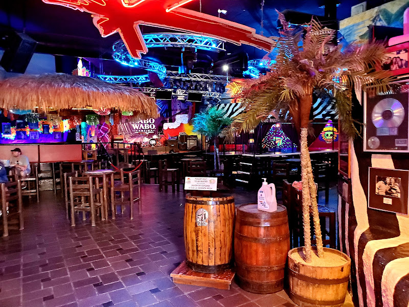 Cabo Wabo Cantina - Disco club in Centro